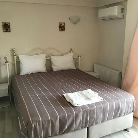Alesya Hotel *